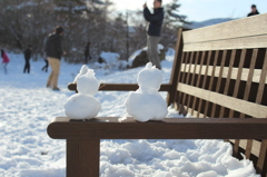 初雪