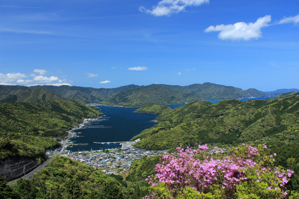 緑の季節へ