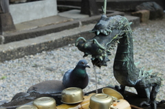 少し飲ませて！
