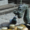 少し飲ませて！