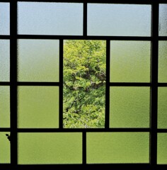 緑の窓