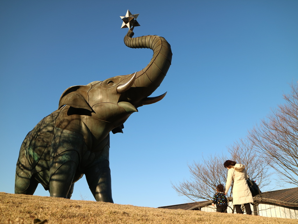 「ぞうさん　遊ぼう！」