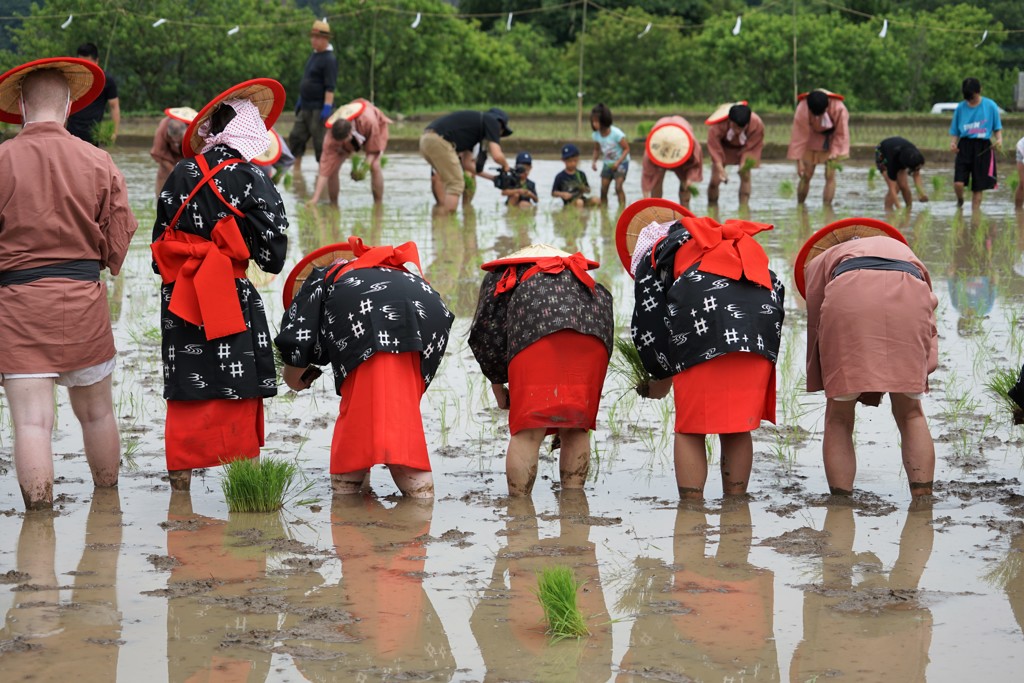 お田植祭り