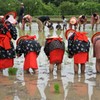 お田植祭り