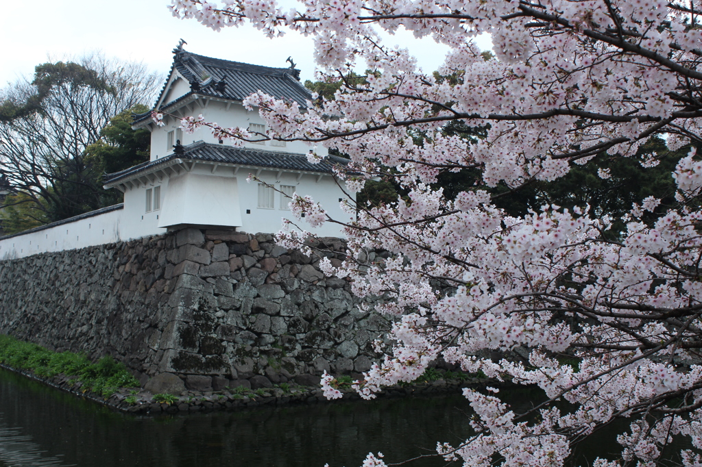 城址の春