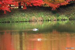 秋の湖畔