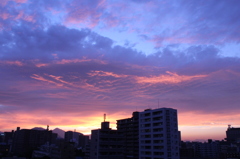 夕暮れ時