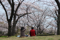 し・あ・わ・せ