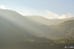 山の朝