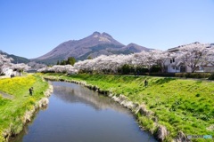 春の由布岳