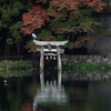 鳥居の主