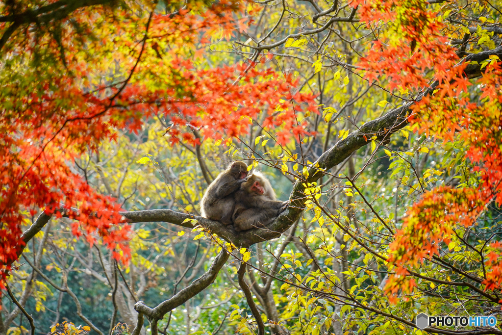 おだやかな時間