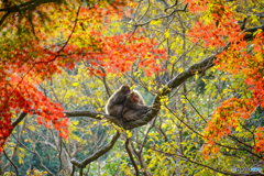 おだやかな時間