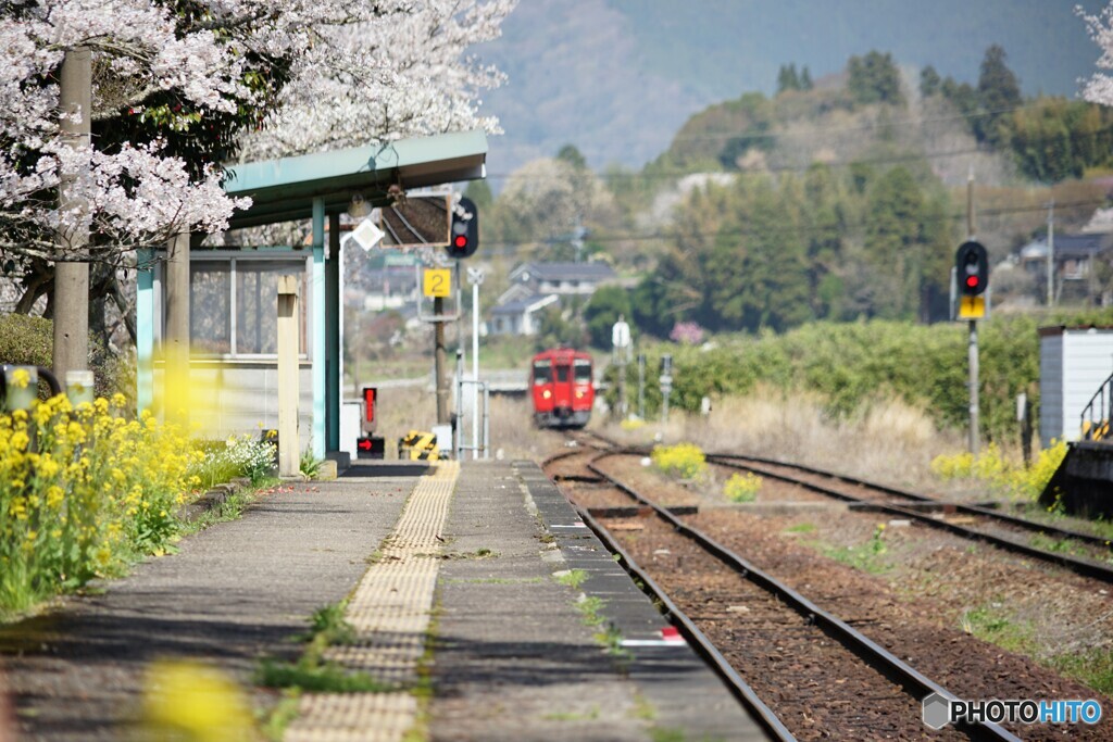 桜の駅