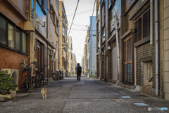 路地のひととき