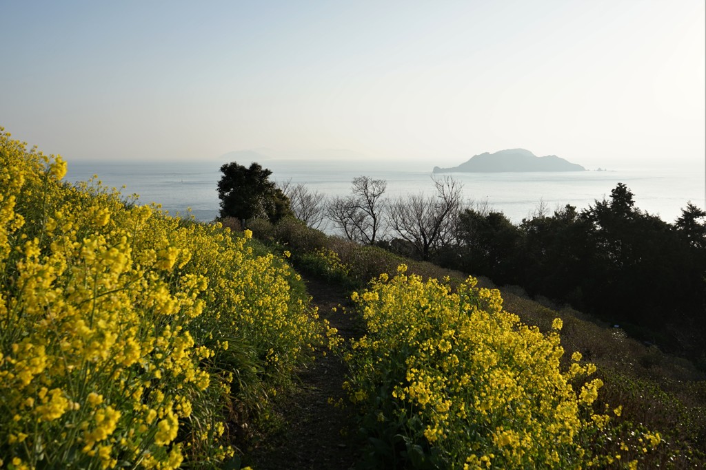 朝日を浴びて