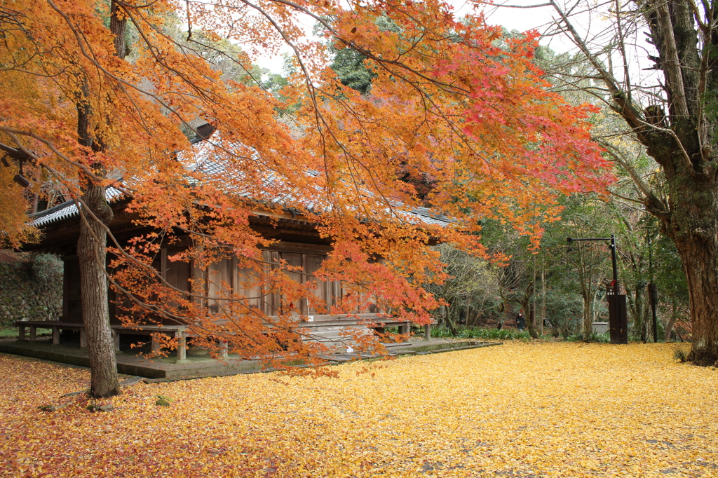 落葉の古寺