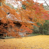 落葉の古寺