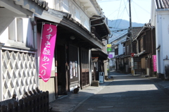 造り酒屋の看板猫