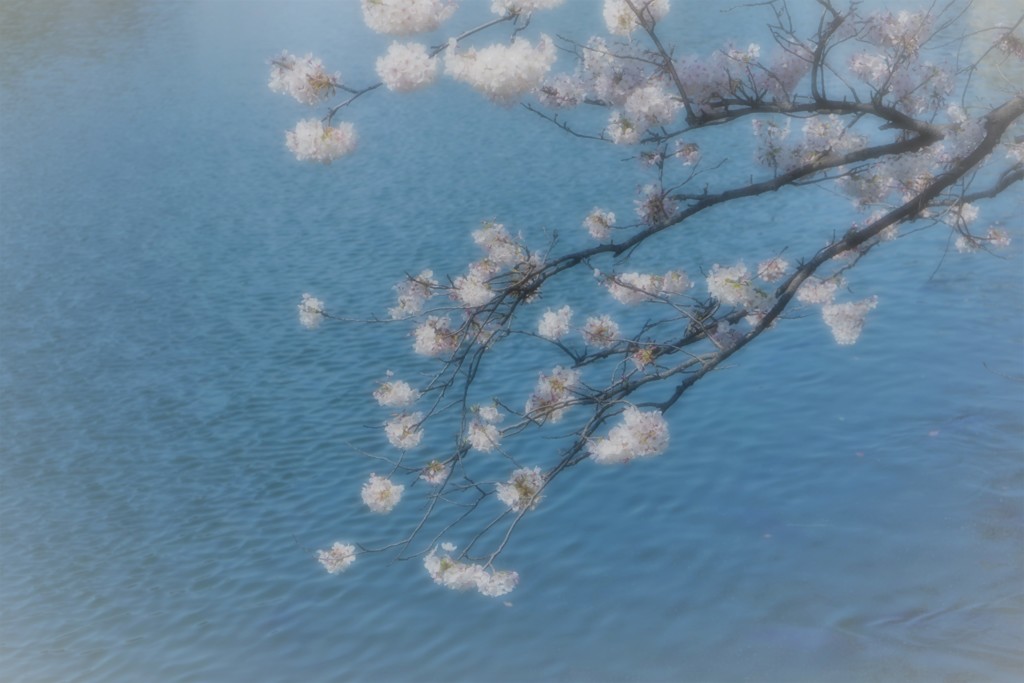 優しい風