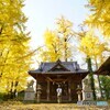 黄色の神社