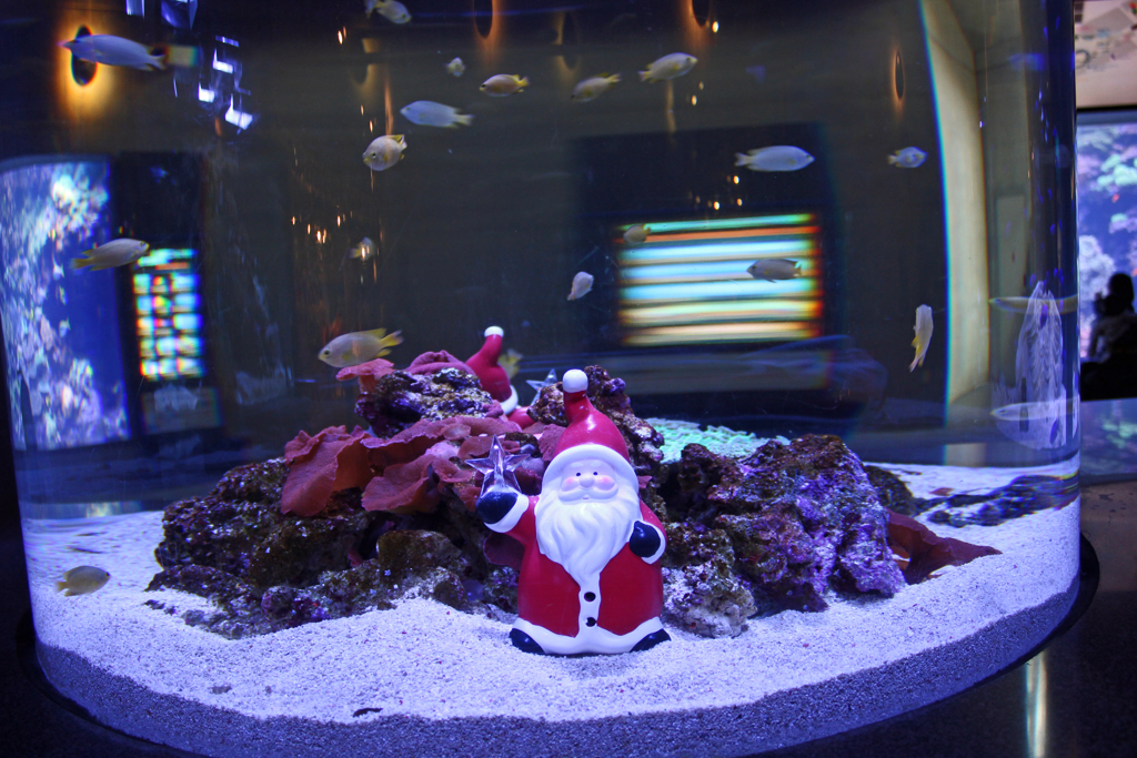 メリークリスマス！