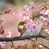 早春の詩