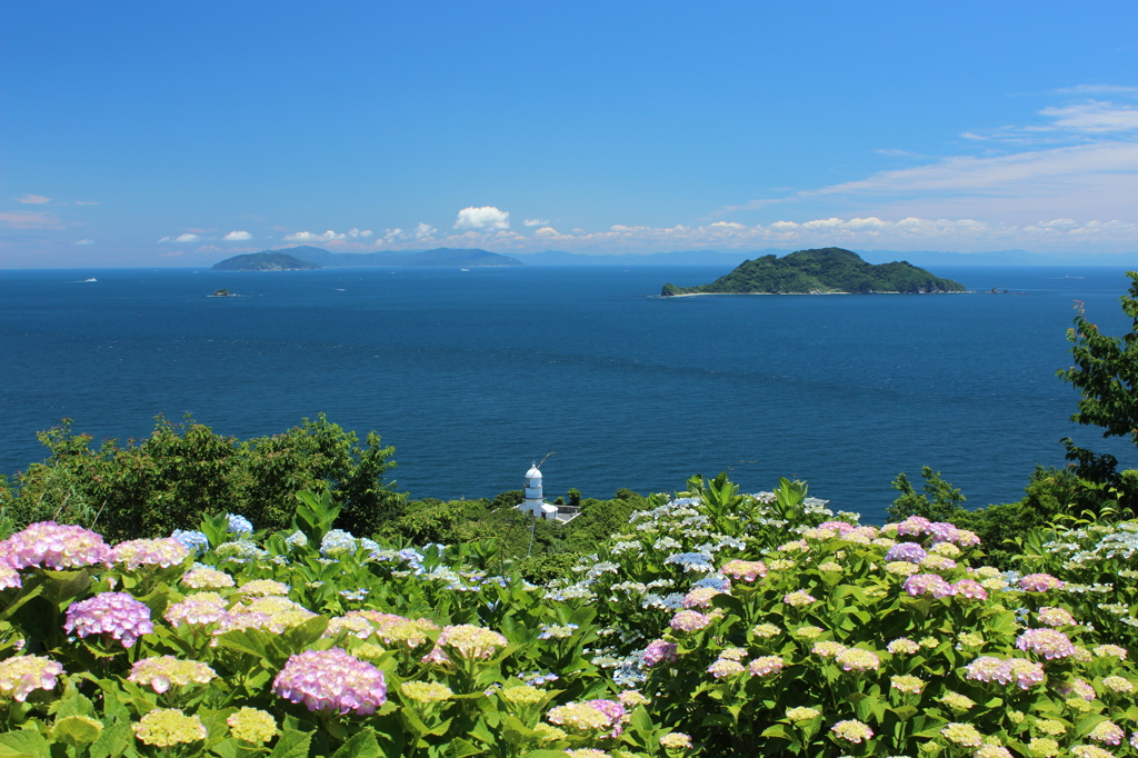 紫陽花と白い灯台