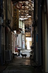 路地裏