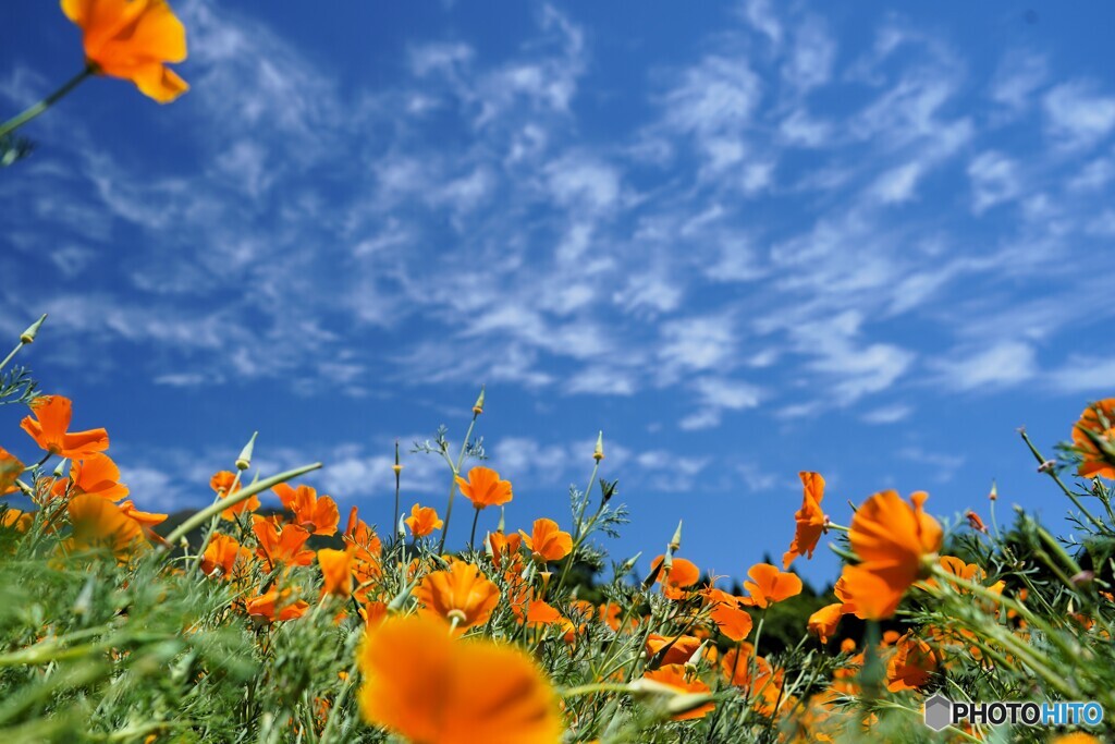 清々しい青空