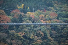 橋の空中散歩