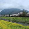 春景色