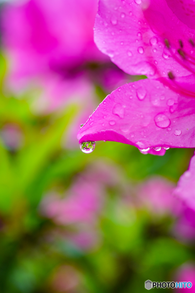雨粒