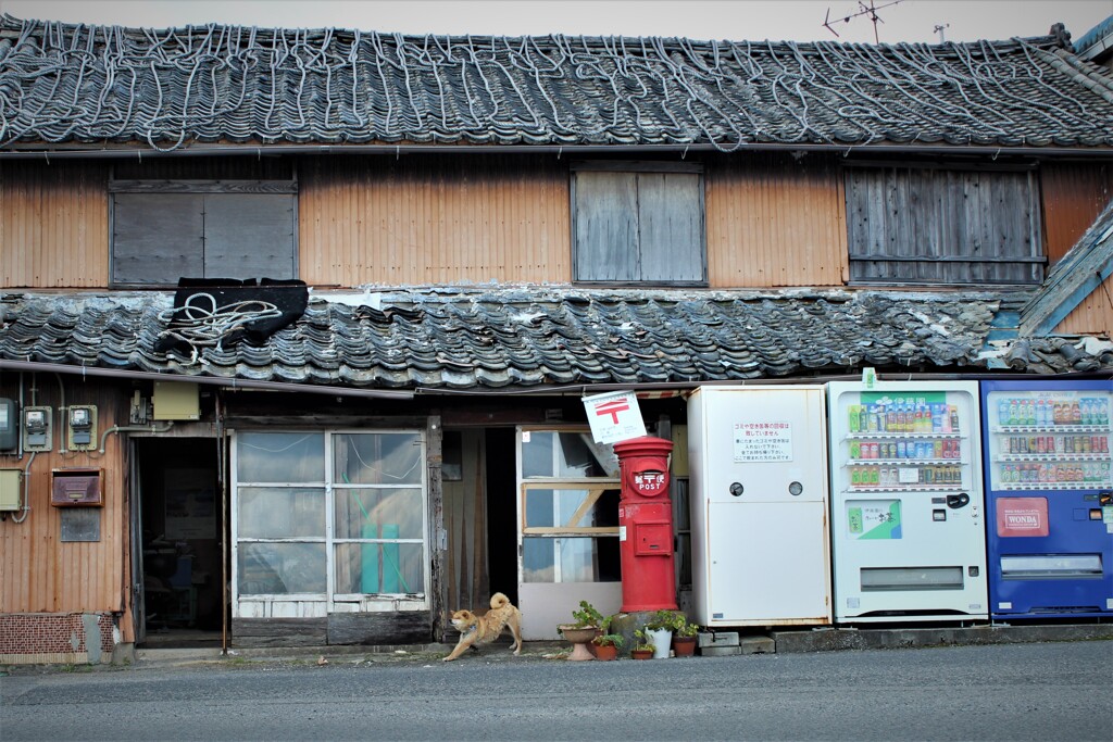 赤いポストのある家