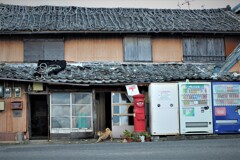 赤いポストのある家