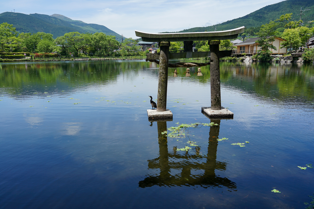 鳥居の下で