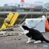 小雨が降り出したよ