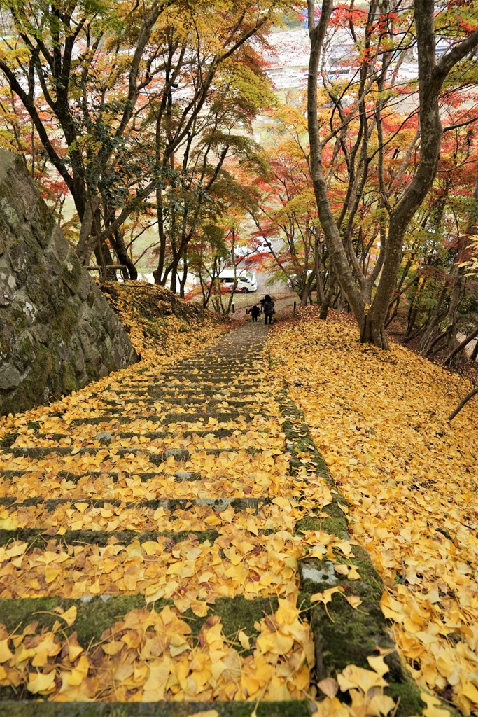 黄色の階段