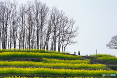 春の景色