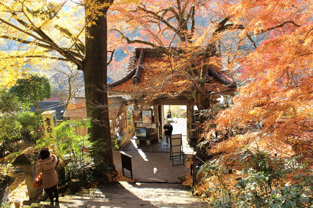 小春日和の山門