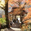 小春日和の山門