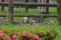 やすらぎ