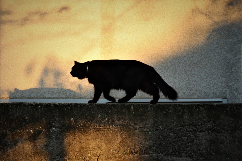 夕暮れ時