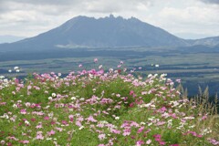 高原の秋