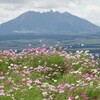 高原の秋