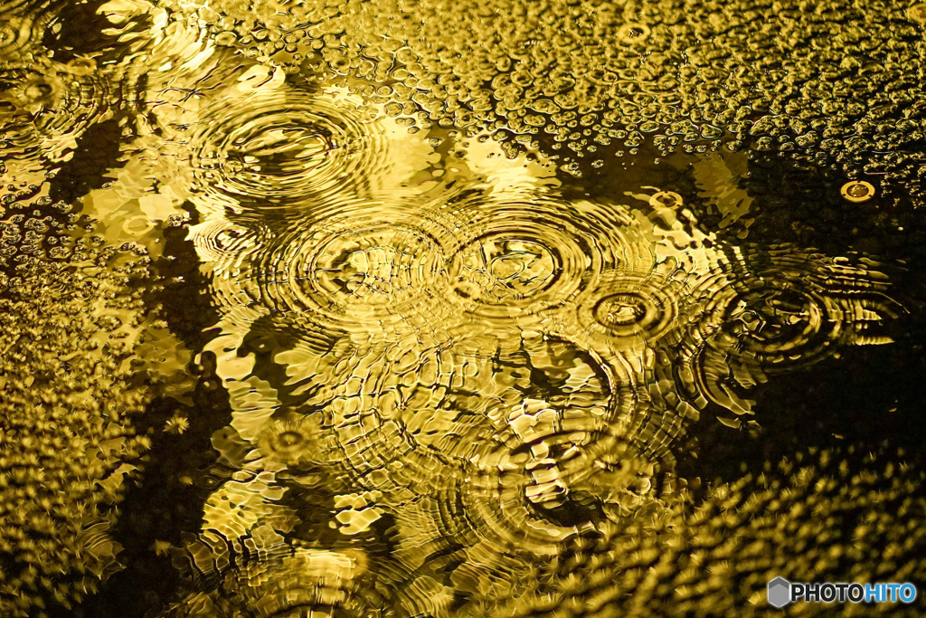 シャンパンゴールドの雨