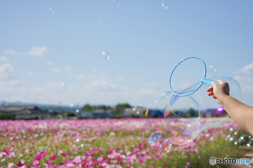 秋空にシャボン玉