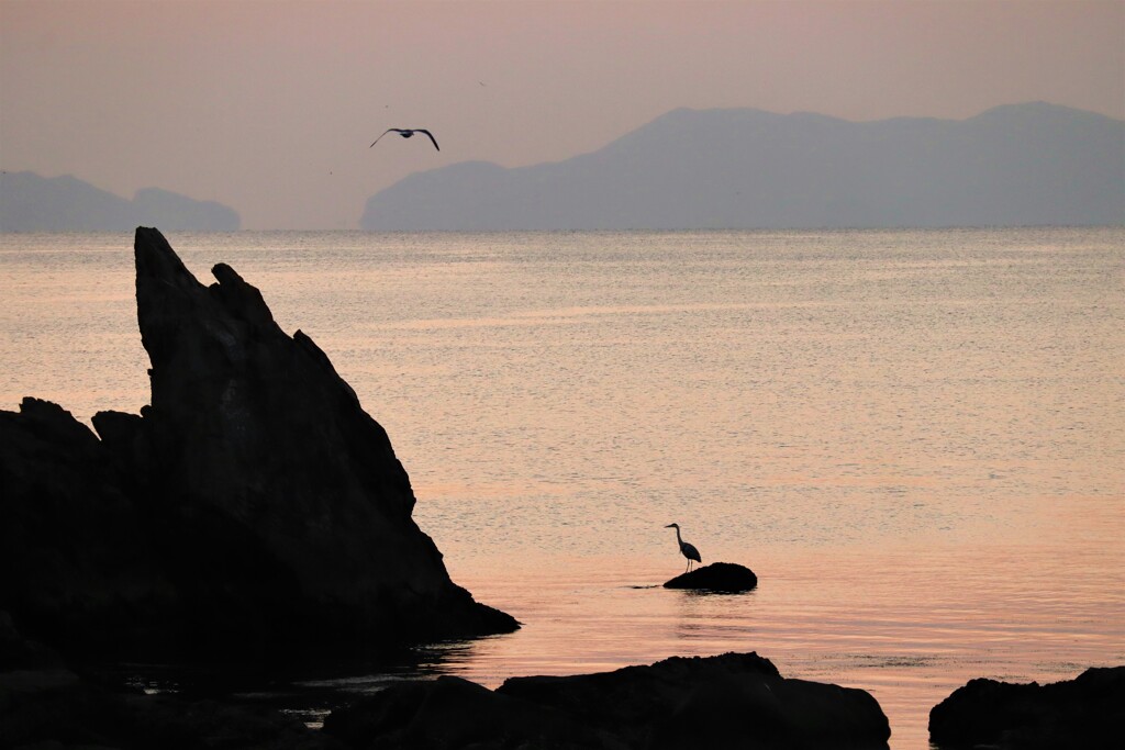 静かな海