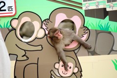 記念写真を撮って～！