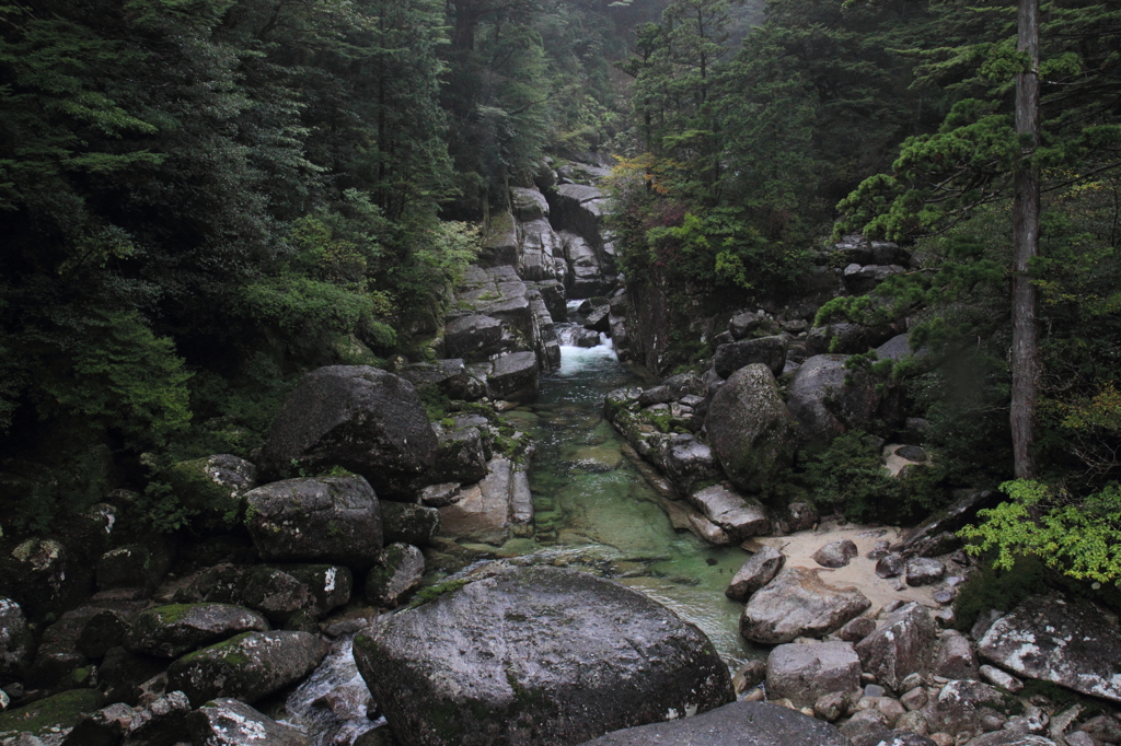 緑の川